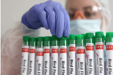 இந்தியாவில் 4 வயது குழந்தைக்கு பறவைக்காச்சல்!