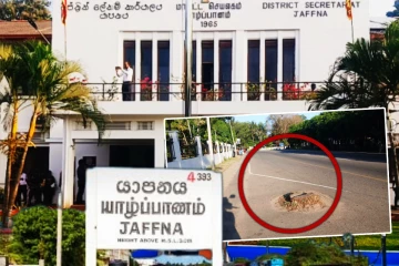 யாழ். மாவட்ட செயலகம் முன் மரத்தின் அடி பாகம் - மக்கள் விசனம்