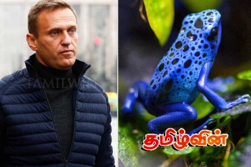 ரஷ்ய எதிர்க்கட்சித் தலைவர் நவால்னி மரணம்: வெளியான காரணம்.. குற்றம்சாட்டும் ஐரோப்பிய நாடுகள்