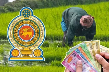 நெல் கொள்வனவுக்கு மானிய வட்டி: ரணிலின் யோசனைக்கு கிடைத்த அங்கீகாரம்