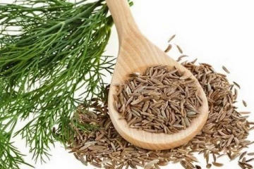 சீரகத்தை சிறிது வாய்க்குள் போட்டு கொண்டால் நடக்கும் மாற்றங்கள்! இத்தனை நோய்களை விரட்டுமா!