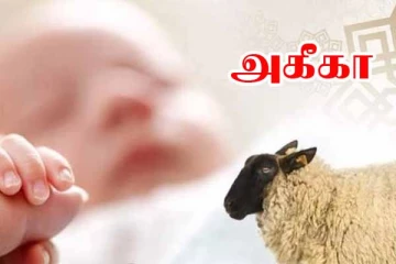 அகீகா- சட்டங்கள்