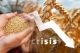 நாட்டில் அடுத்த ஆண்டு கடும் வரட்சி: உணவுப் பாதுகாப்புக்கு அச்சுறுத்தல்