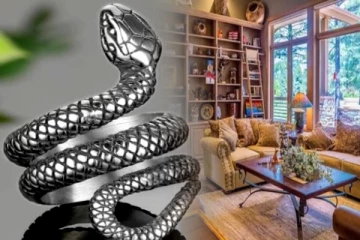 சாஸ்த்திரம்: வீடு கட்டும் போது ஏன் வெள்ளி நாகம் வைக்கிறார்கள்? அதிர்ஷ்டம்