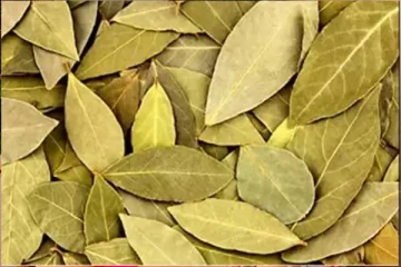 நீரிழிவு நோயாளிகளுக்கு பிரியாணி இலை செய்யும் அதிசயம்: இத்தனை நாள் தெரியாமல் போச்சே!