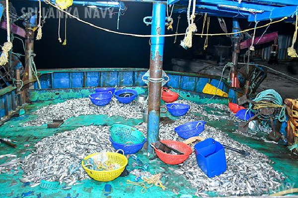 கைது செய்யப்பட்ட இந்திய கடற்றொழிலாளர்களுக்கு நீதிமன்றின் உத்தரவு | 11 Indian Fishermen Arrested Sri Lankan Waters