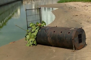 கொழும்பில் பெரும் அச்சுறுத்தலாக மாறியுள்ள முதலைகள்! - பொறி வைத்து பிடிக்க நடவடிக்கை (Video)