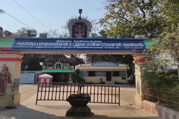 பச்சையம்மன் கோயில்கள்... வரலாறும் பெருமைகளும்..! | Pachaiamman Temple
