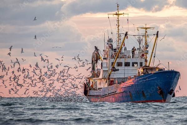 இலங்கை வளங்களை சூரையாடும் இந்திய கடற்றொழிலாளர்கள்! என். எம். ஆலம் காட்டம் | N M Alam S Statement