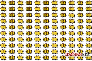 18K இல் 19K ஐ வெறும் 8 வினாடிகளில் கண்டுபிடிக்க முடியுமா?