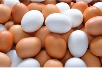 முட்டை விற்பனையில் நடைமுறைக்கு வரும் மாற்றம்!