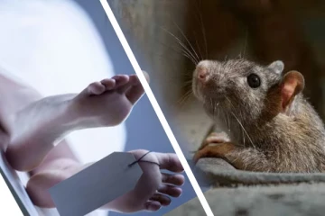 யாழில் இளம் குடும்பஸ்தர் திடீர் மரணம்; மக்களே அவதானம்