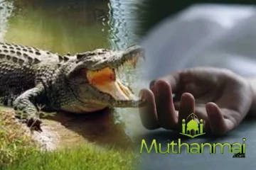 அம்பாறையில் முதலையிடம் சிக்கிய நபரின் சடலமாக மீட்பு