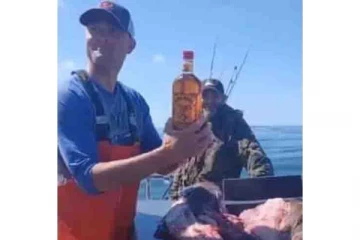 நடுக்கடலில் சிக்கிய மீன் வயிற்றில் ஓபன் பண்ணாத விஸ்கி பாட்டில் - வீடியோ வைரல்!