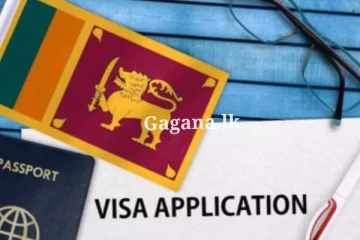 ඔන්ලයින් වීසා ක්‍රමය යළිත් ඇරඹීමෙන් ගුවන්තොටුපළ පෝළිම් අඩුවේ...