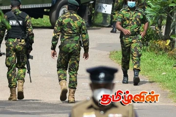 இராணுவத்தினரிடம் சிக்கிய பெருமளவு கஞ்சா செடிகள்.. அதிர்ச்சியில் அதிகாரிகள்