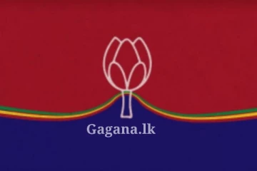 ජනාධිපතිවරණය ගැන ධම්මික පෙරේරාගේ තීරණය...