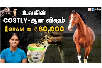 பாம்பு கடிக்கு மருந்தாகும் குதிரையின் ரத்தம்...! 1 கிராம் விலை எவ்வளவுன்னு தெரியுமா...? இதோ...
