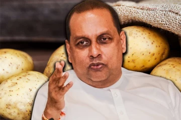 உருளைக்கிழங்கு இறக்குமதியைக் கட்டுப்படுத்துமாறு கோரிக்கை