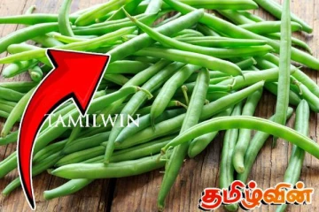 ஆயிரம் ரூபாவை நெருங்கும் போஞ்சியின் விலை