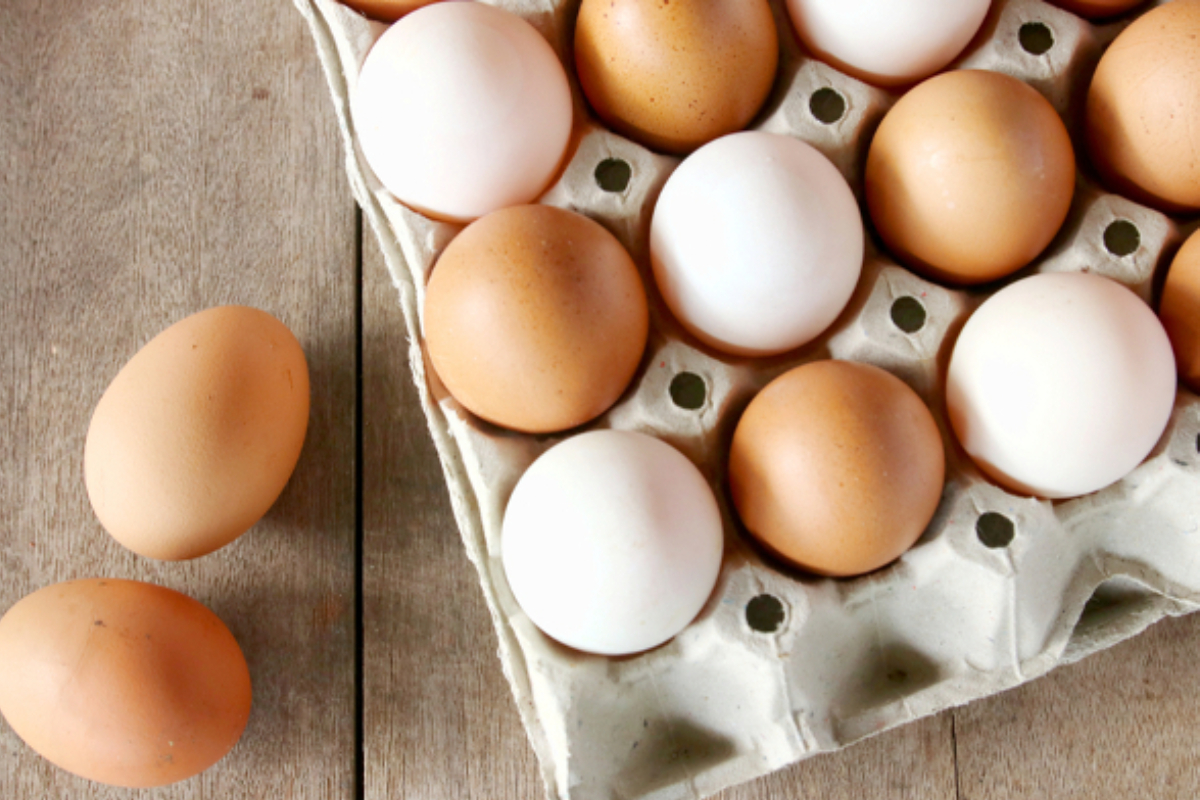 முட்டையின் விலையில் மாற்றம் | Good News Egg Price Drop Today