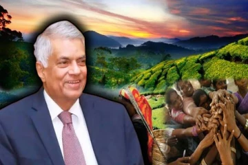 பெருந்தோட்ட மக்களுக்கு வெளியான நற்செய்தி: கிடைத்தது அங்கீகாரம்