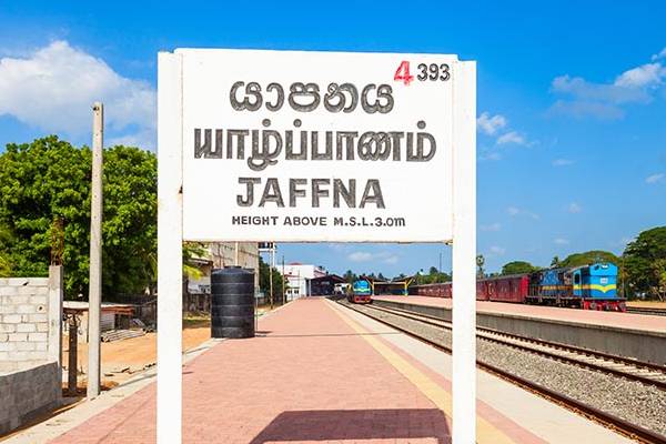 யாழில் சோகம்: பரிதாபமாக பலியான மூன்று மாத குழந்தை | Three Month Old Baby Dies In Jaffna After Feeding