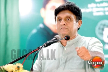 රටේ අභියෝග විසඳන්න හේතුඵල දහම වටහා ගන්න ඕනි...සජිත් කියයි