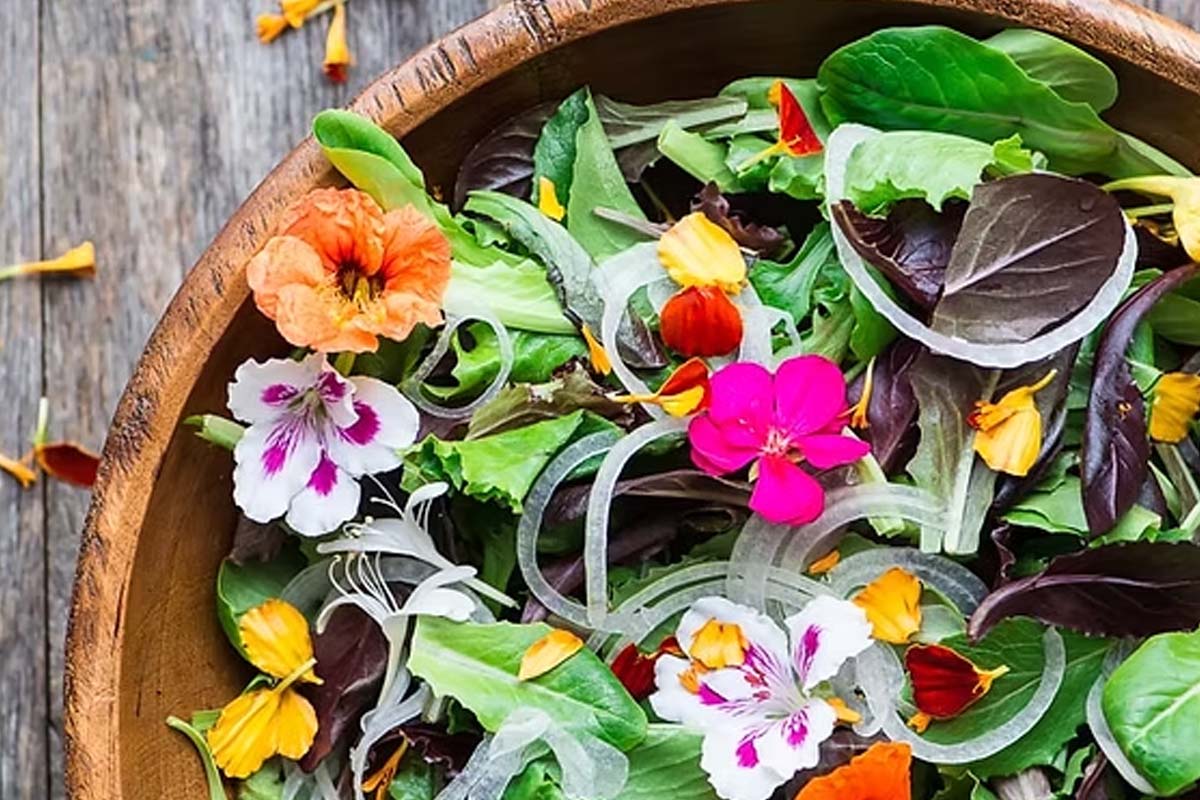 சாப்பிடக்கூடிய 8 பூக்கள்: உங்கள் உணவுக்கு கலர்ஃபுல் ட்விஸ்ட் கொடுங்க! | Do You Know Edible Flowers And Cooking Benefits