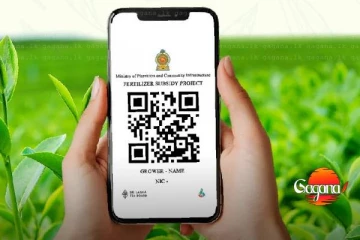 QR ක්‍රමය හරහා තේ පොහොර ලබාදීමේ වැඩසටහනේ ඉහළ ප්‍රගතියක්