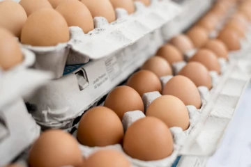 முட்டைக்கான விலையில் ஏற்படவுள்ள திருத்தம்! வெளியான தகவல்