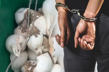 மூவாயிரத்திற்கும் மேற்பட்ட கடல் சங்குகளுடன் இருவர் கைது