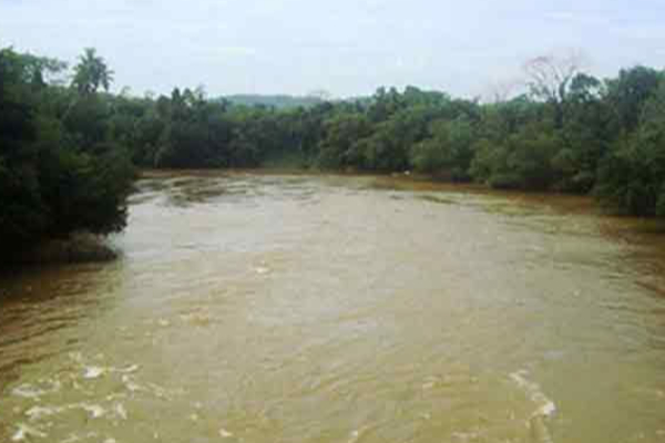பொது மக்களுக்கு விடுக்கப்பட்டுள்ள முக்கிய அறிவிப்பு | Kelani River Water Level