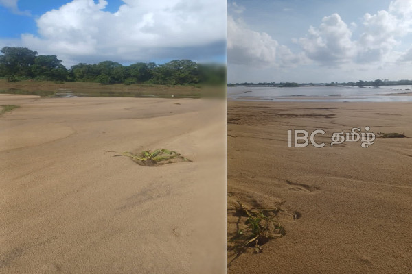 வெள்ளத்தையடுத்து கடற்கரையாக காட்சியளிக்கும் விவசாய நிலங்கள்..! | Agricultural Lands That Look Like Beaches Flood வெள்ளத்தையடுத்து கடற்கரையாக காட்சியளிக்கும் விவசாய நிலங்கள்..! | Agricultural Lands That Look Like Beaches Flood