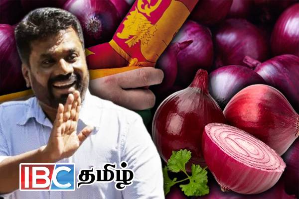 பெரிய வெங்காயம் தொடர்பாக அரசின் விசித்திர முடிவு - வலுக்கும் கண்டனம்