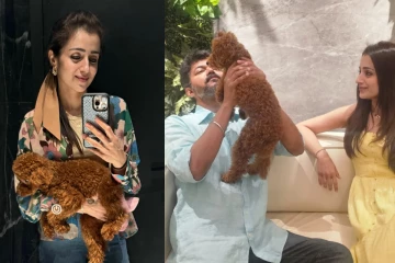 திரிஷா பற்றிய முக்கிய ரகசியத்தை போட்டுடைத்த விஷ்ணு விஷால்! கோபப்பட மாட்டார் என நம்புறேன்..