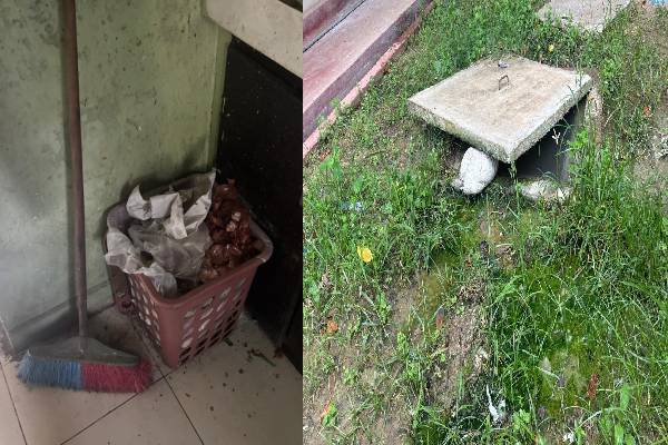 மன்னார் பொது வைத்தியசாலை சூழலில் சுகாதார சீர்கேடுகள் | Various Health Problems At Mannar General Hospital மன்னார் பொது வைத்தியசாலை சூழலில் சுகாதார சீர்கேடுகள் | Various Health Problems At Mannar General Hospital