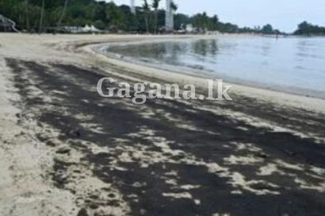 මෙහෙම දෙයක්?. වෙරළ තීරයක් එකපාරටම කට්ට කළු වෙලා..(PHOTOS)