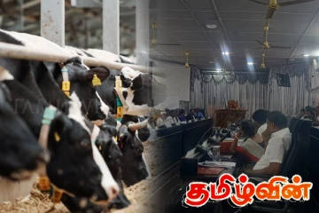 கால்நடை வைத்திய அதிகாரி தொடர்பில் யாழ். முன்னாள் முதல்வரின் கோரிக்கை