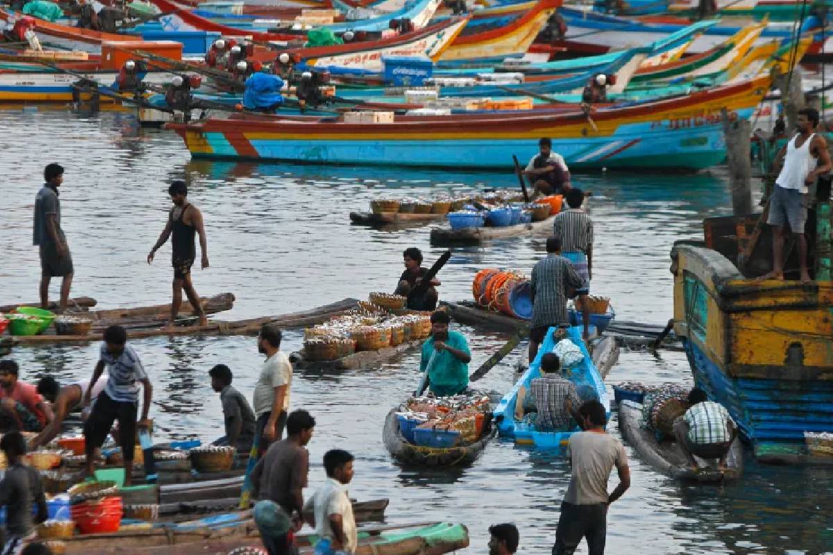 இந்திய கடற்றொழிலாளர்களின் அத்துமீறிய ஊடுருவல் தொடர்பில் குற்றச்சாட்டு | Indian Fishermen Encroachment Rises In South Alam இந்திய கடற்றொழிலாளர்களின் அத்துமீறிய ஊடுருவல் தொடர்பில் குற்றச்சாட்டு | Indian Fishermen Encroachment Rises In South Alam