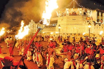 தலதா பெரஹெரவில் பலருக்கு கொரோனா