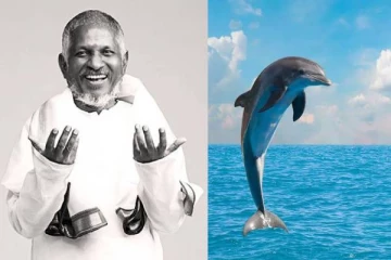 இளையராஜா இசைக்கு Dolphin நடனமாடியதா?.. நடிகையை வறுத்தெடுக்கும் நெட்டிசன்கள்