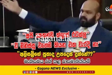 අපි සෙකන්ඩ් ක්ලාස් රටක්ලු’’ | මැතිසබය රත් කළ රාසමානික්කම්