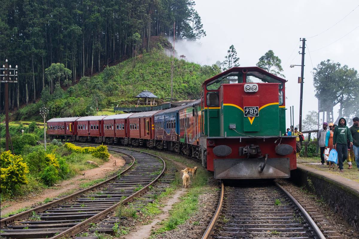 பிரதான ரயில் மார்க்கத்தில் தடை ; ரயில் சேவைகள் பாதிப்பு | Main Railway Line Blocked Train Services Affected பிரதான ரயில் மார்க்கத்தில் தடை ; ரயில் சேவைகள் பாதிப்பு | Main Railway Line Blocked Train Services Affected