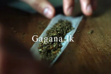 රුවන්වැලි සෑය ළඟ ගංජා විකුණලා.