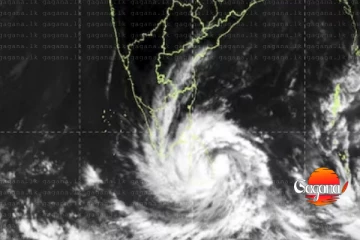 දිට්වා තව තව වනසයි - පාසල්, සරසවි වසයි ගුවන් ගමන් අවලංගු කරයි