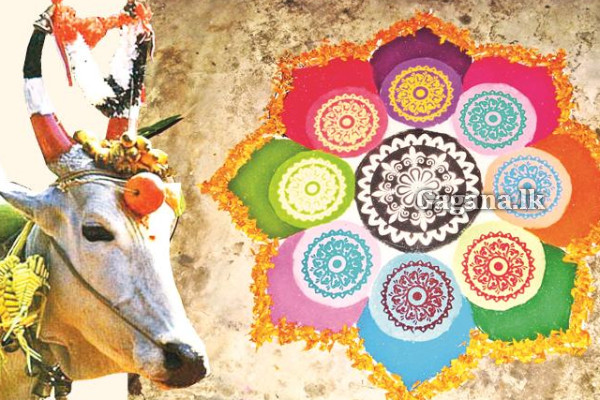 සුබ තෛපොංගල් දිනයක් වේවා ! | Happy Thai Pongal
