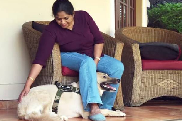 குவைத்திலிருந்து நாயின் உயிரை காப்பாற்றி இலங்கைக்கு கொண்டுவந்த நபர்! | Person Saved Dog Life Kuwait Brought It Sri Lanka