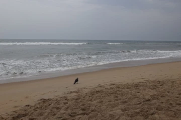 யாழ் கடற்பரப்பில் கரையொதுங்கிய இளைஞனின் சடலத்தால் பரபரப்பு