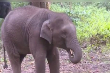 புதிதாக பிறந்த புனீத் ராஜ்குமார் - ரசிகர்கள் நெகிழ்ச்சி